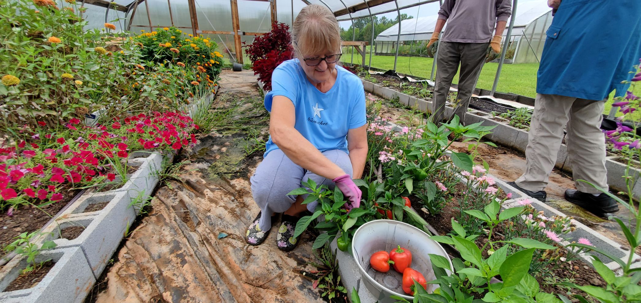 Gardeners Joy Harnage